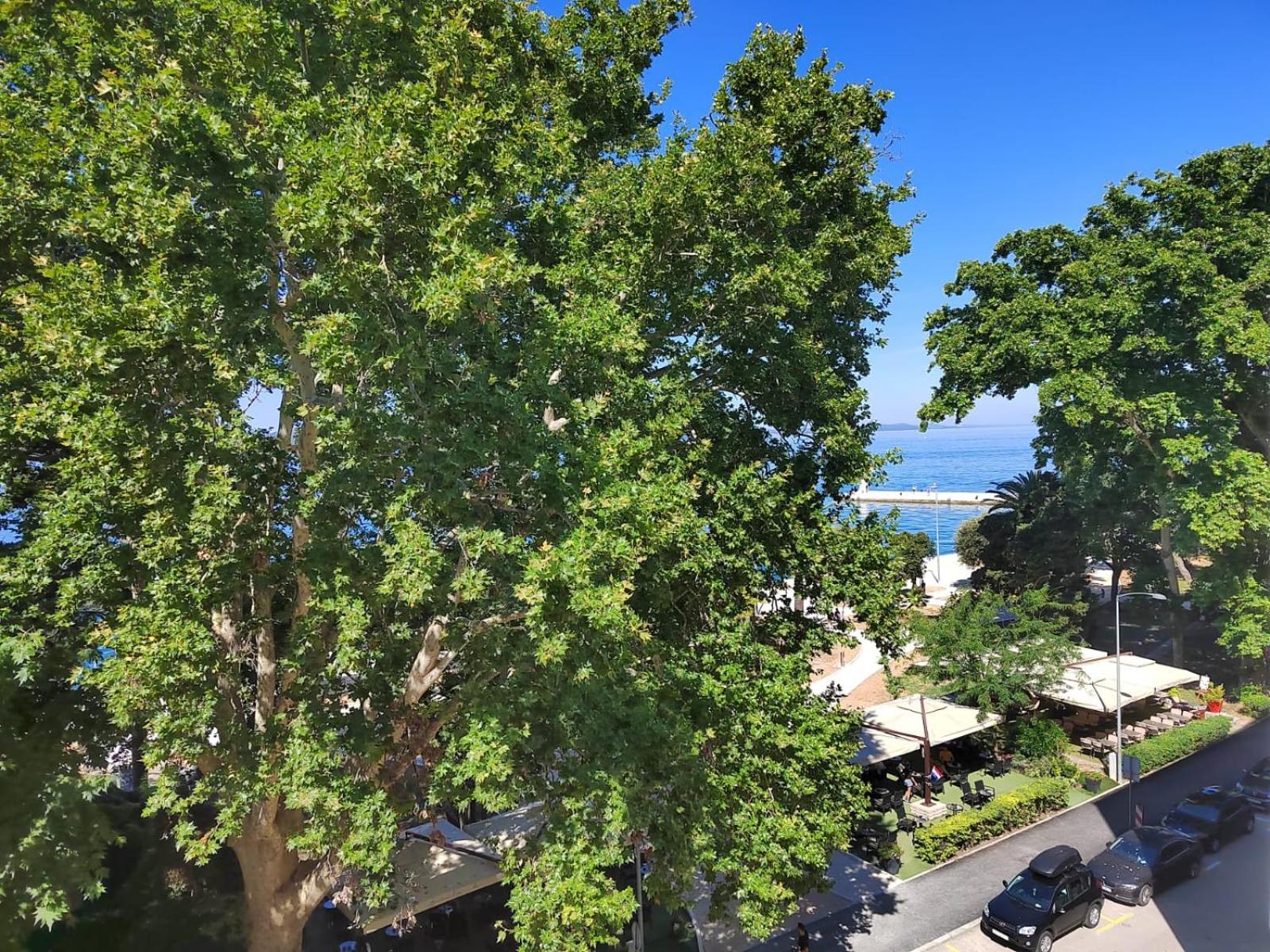 City Center Parking Sea View Aquamarine